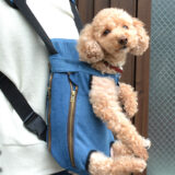 RURU PET｜ルルペット