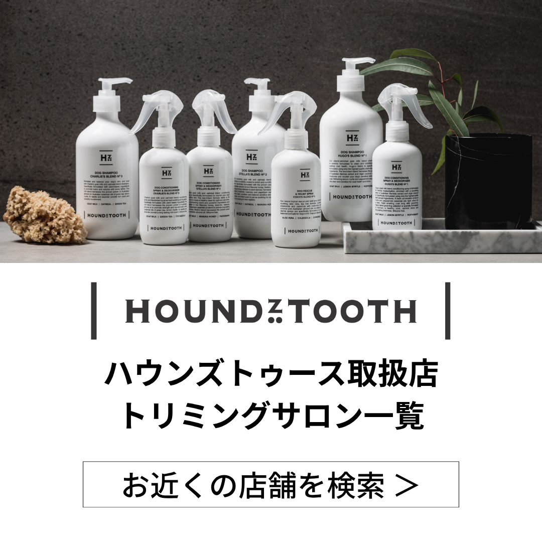 ハウンズトゥース 取扱店舗一覧